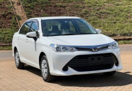 Toyota Axio 2016 Review