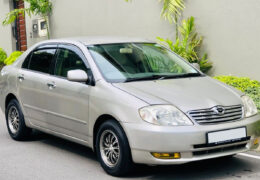 Toyota Corolla 2004 Review